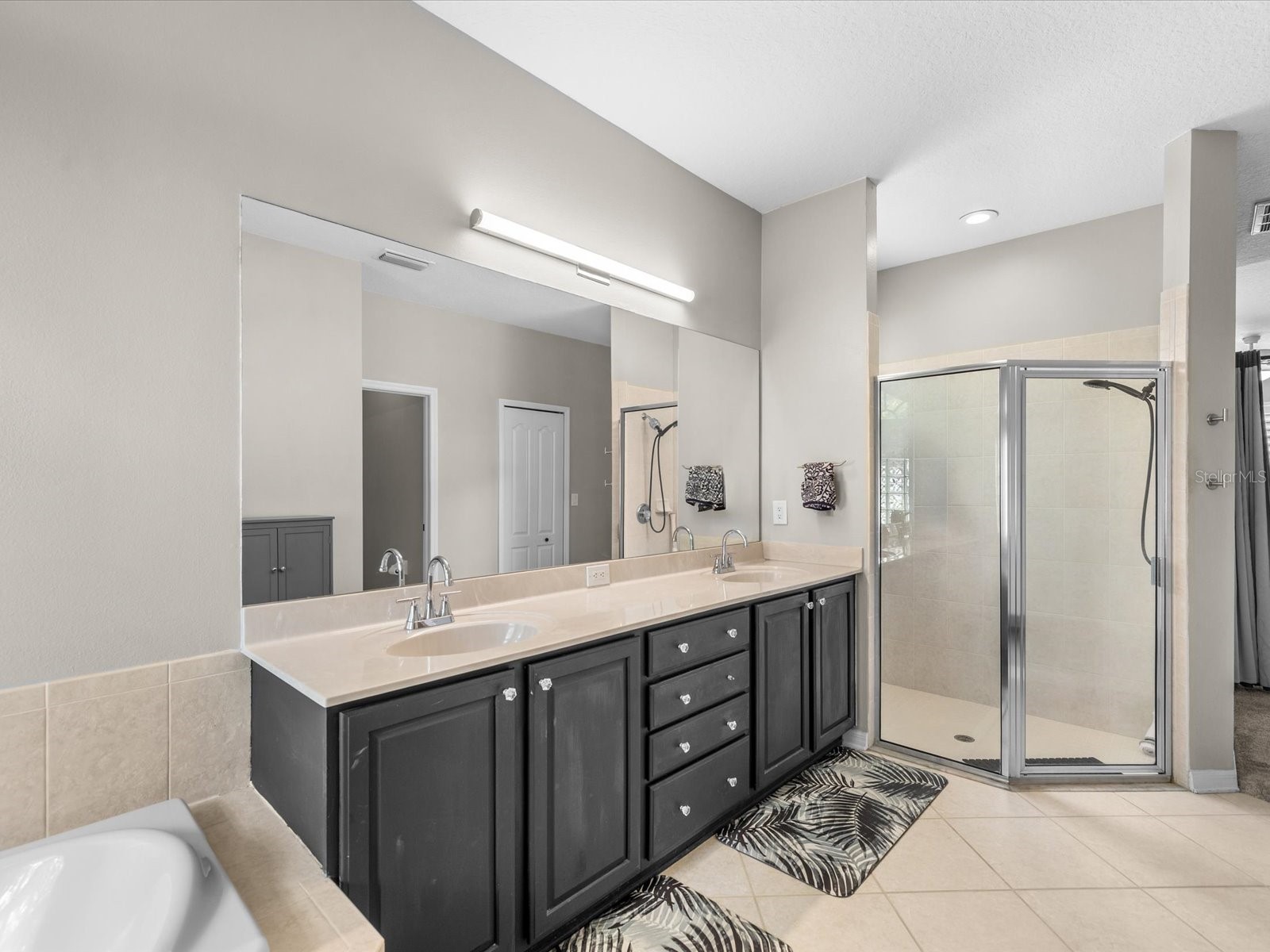 19119 Larchmont Drive Odessa FL 33556 TB8514499 image27