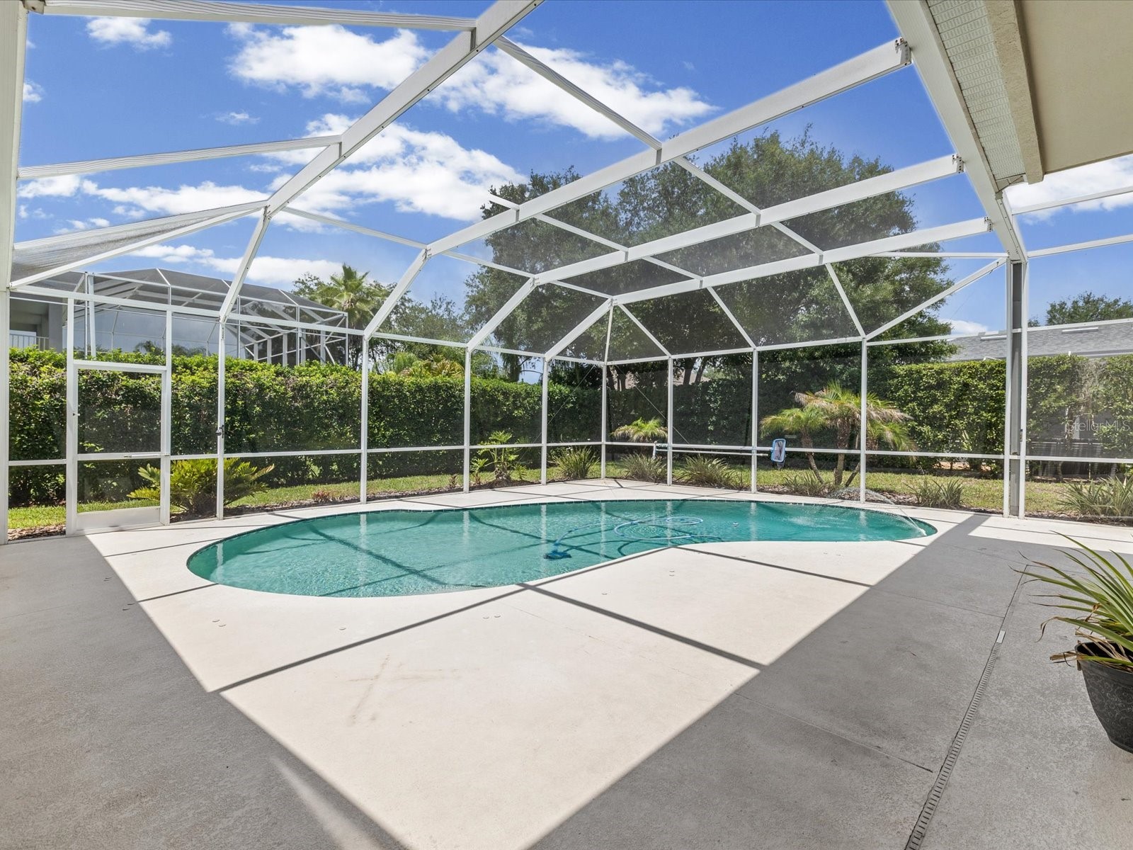 19119 Larchmont Drive Odessa FL 33556 TB8514499 image35