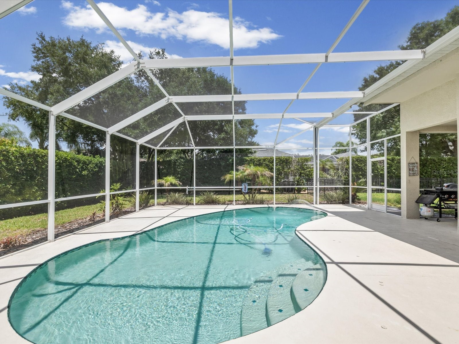 19119 Larchmont Drive Odessa FL 33556 TB8514499 image36
