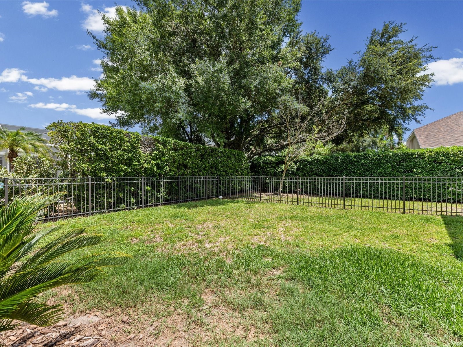 19119 Larchmont Drive Odessa FL 33556 TB8514499 image39