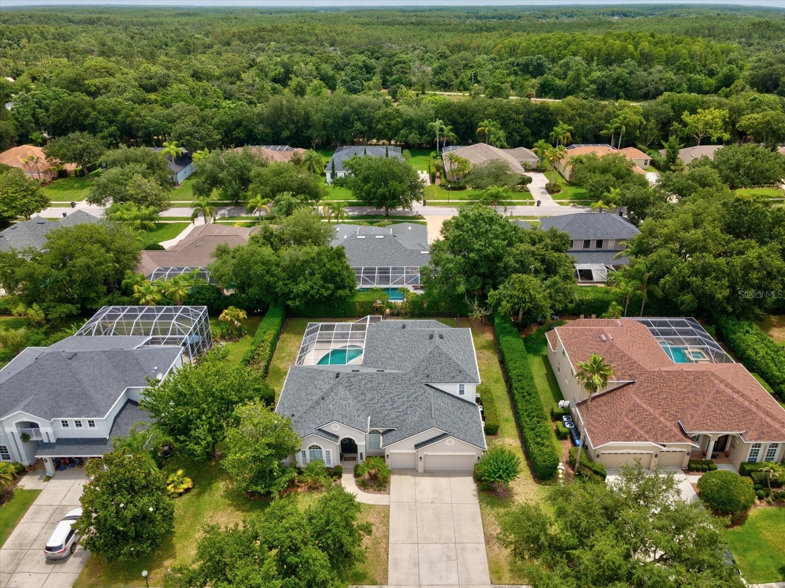 19119 Larchmont Drive Odessa FL 33556 TB8514499 image55