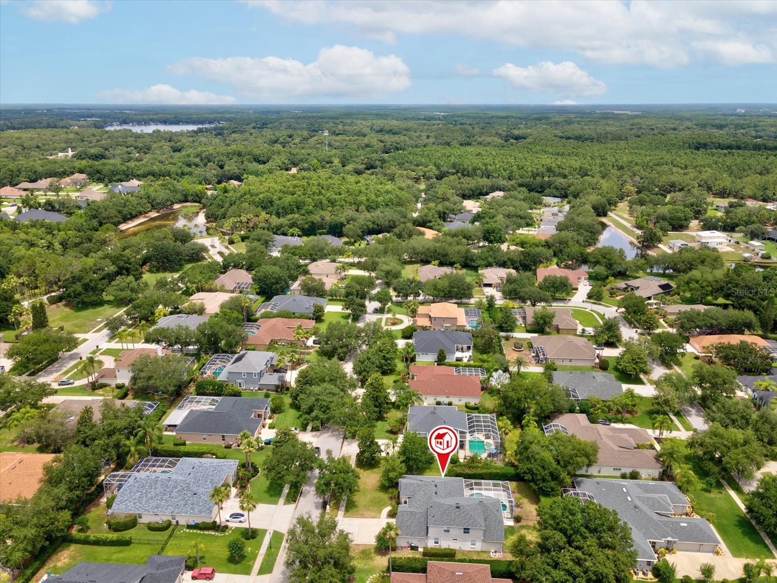 19119 Larchmont Drive Odessa FL 33556 TB8514499 image57