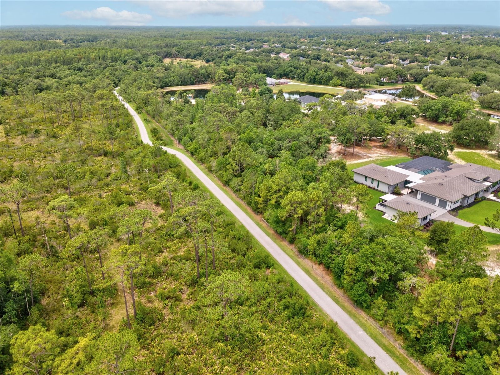 19119 Larchmont Drive Odessa FL 33556 TB8514499 image59