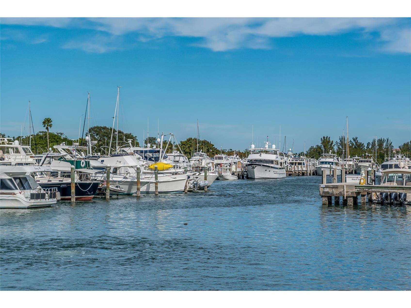 1912 Harbourside Drive #604 Longboat Key FL 34228 A4683819 image80