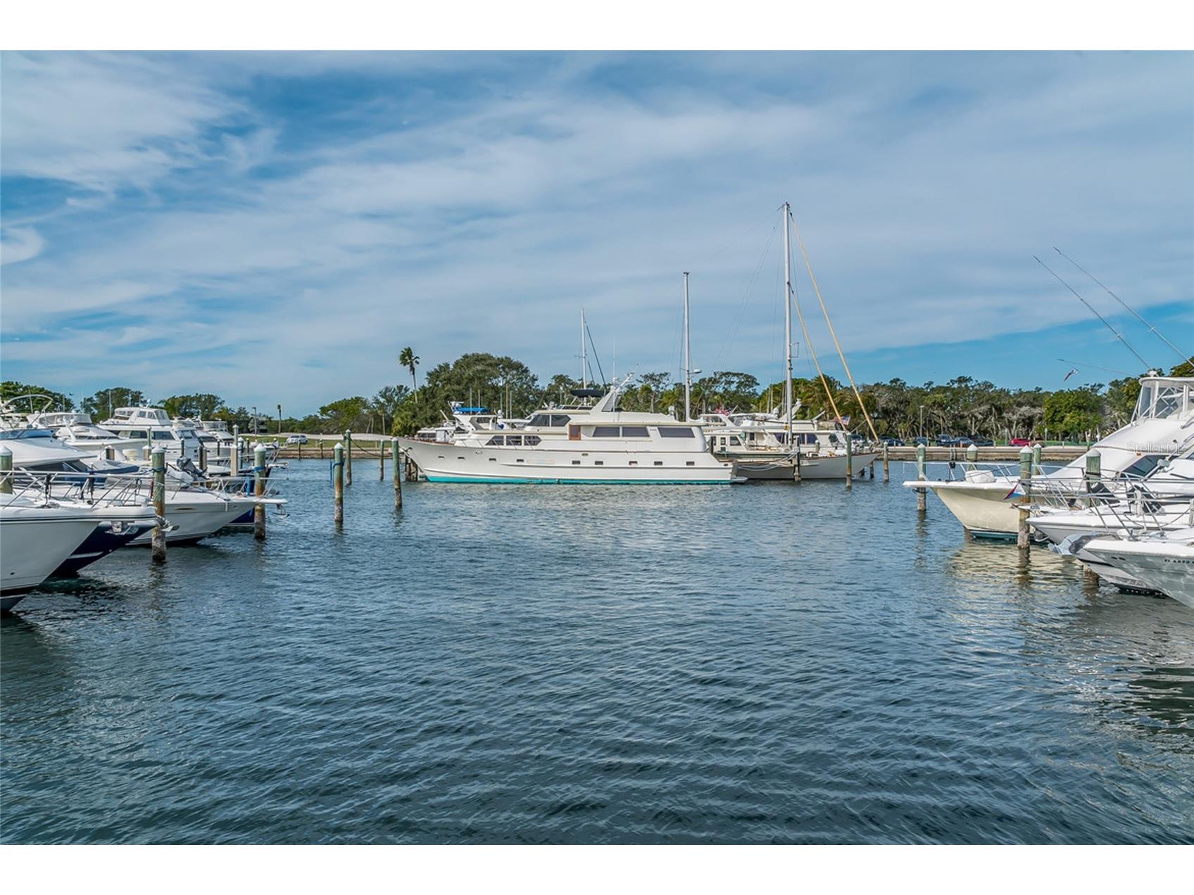 1912 Harbourside Drive #604 Longboat Key FL 34228 A4683819 image81