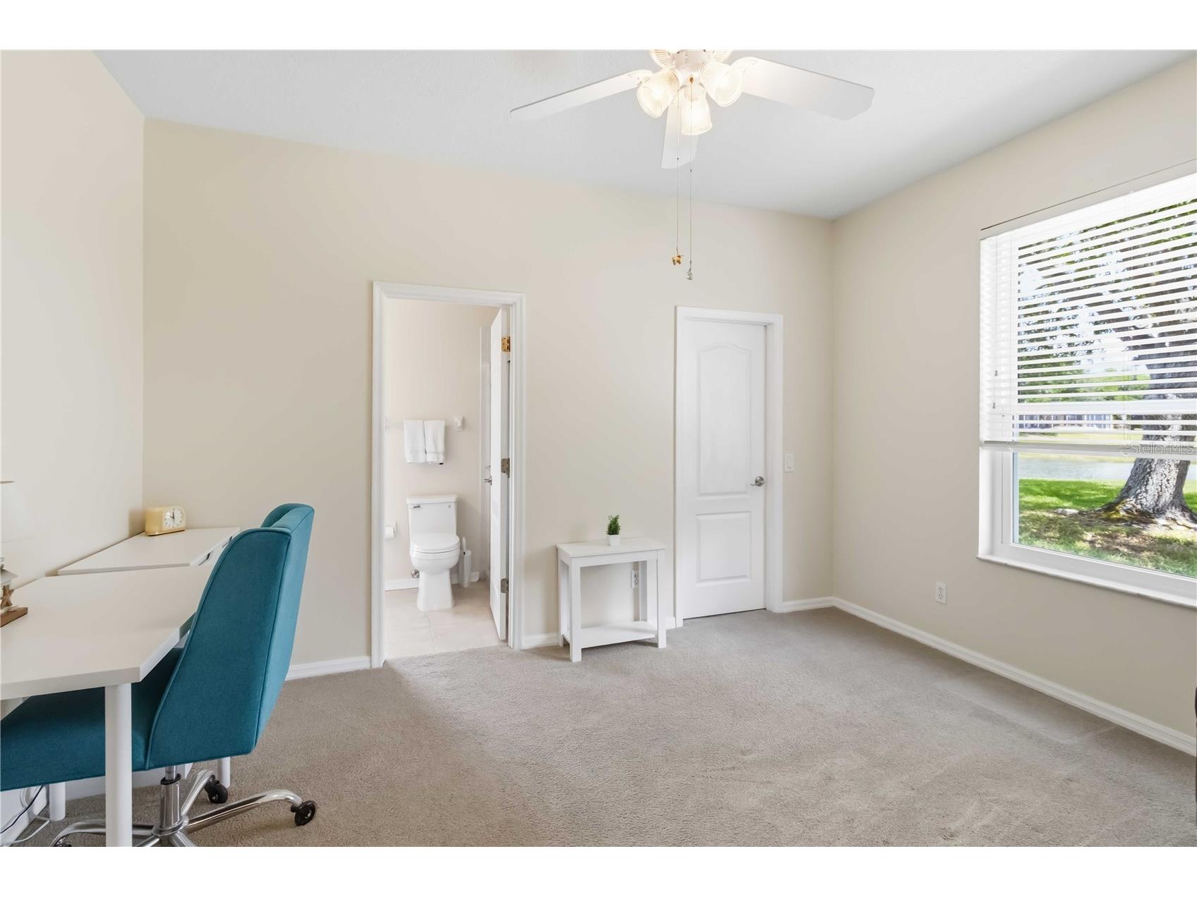 19120 Mandarin Grove Place Tampa FL 33647 TB8494447 image22