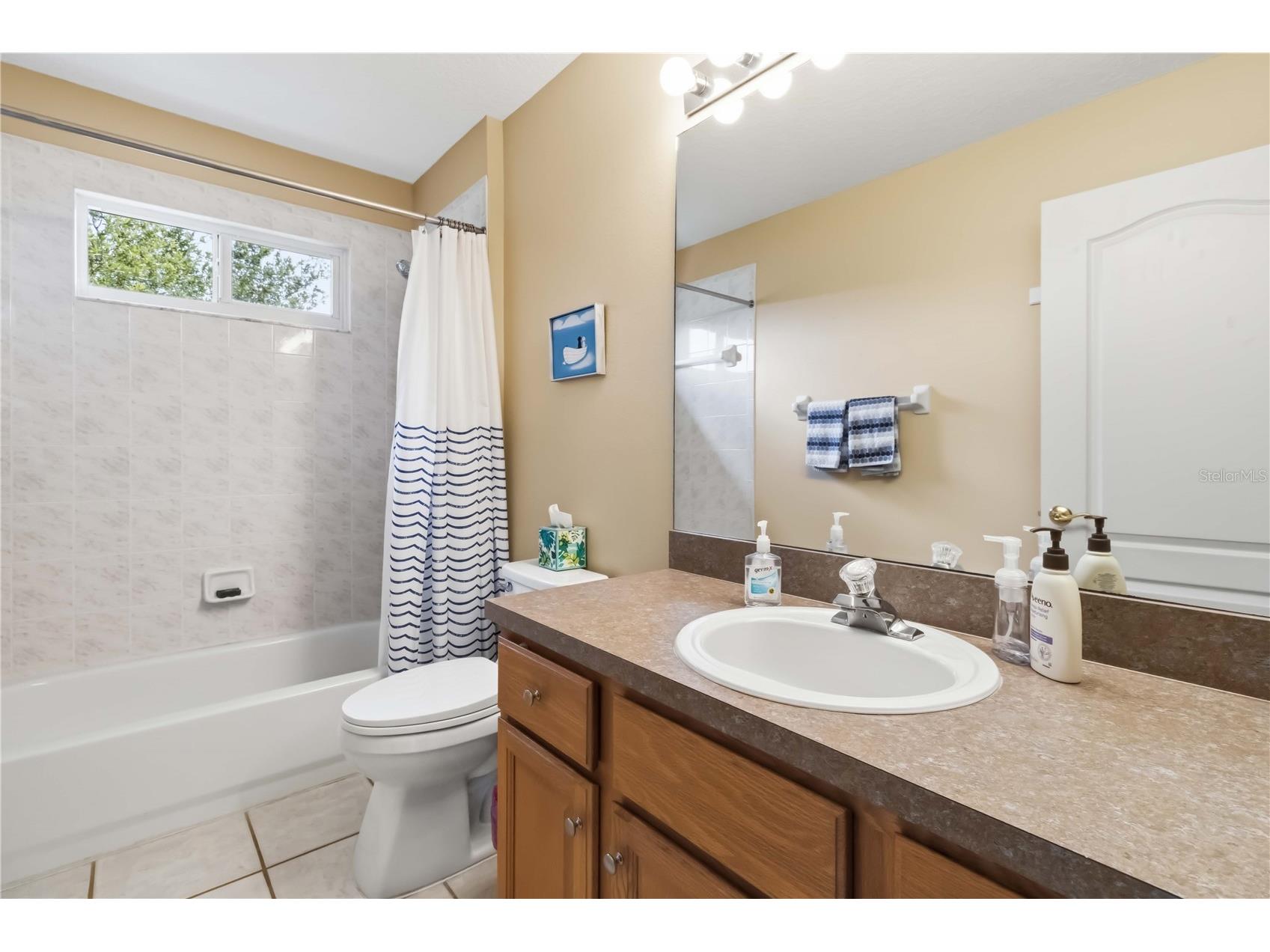 19120 Mandarin Grove Place Tampa FL 33647 TB8494447 image32