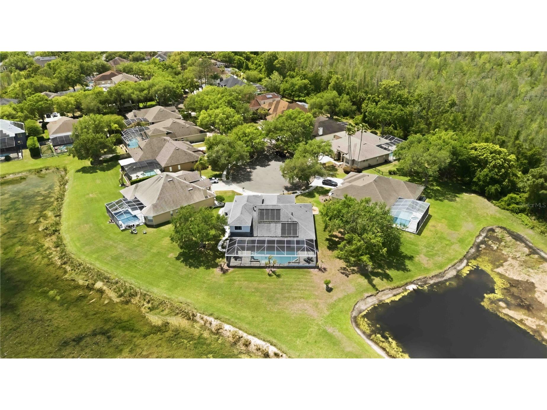 19120 Mandarin Grove Place Tampa FL 33647 TB8494447 image44