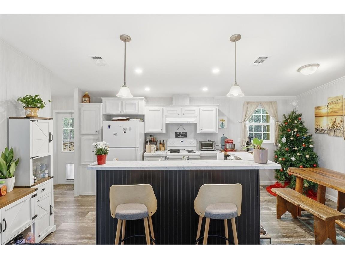 19120 SW 49th Place Dunnellon FL 34432 OM715115 image10