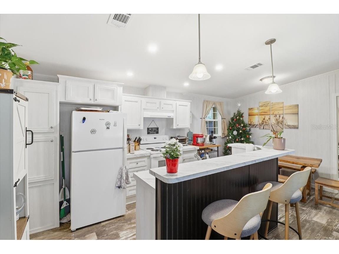 19120 SW 49th Place Dunnellon FL 34432 OM715115 image11