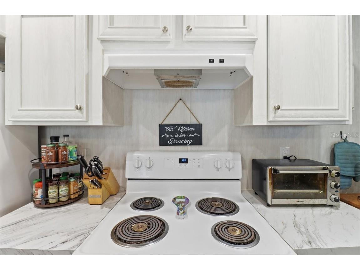 19120 SW 49th Place Dunnellon FL 34432 OM715115 image16