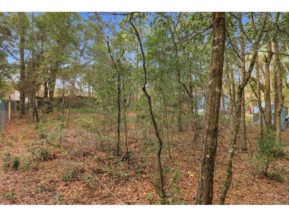 19120 SW 49th Place Dunnellon FL 34432 OM715115 image41