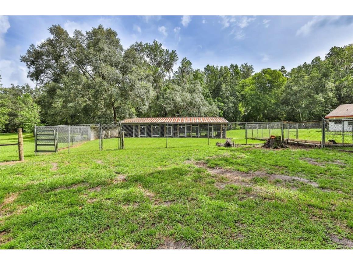 19123 Yontz Road Brooksville FL 34601 TB8441708 image10