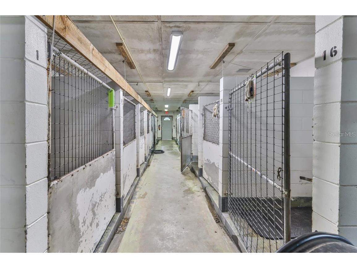 19123 Yontz Road Brooksville FL 34601 TB8441708 image13