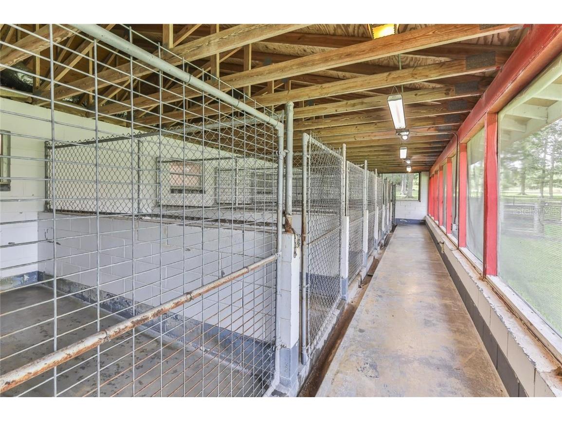 19123 Yontz Road Brooksville FL 34601 TB8441708 image15