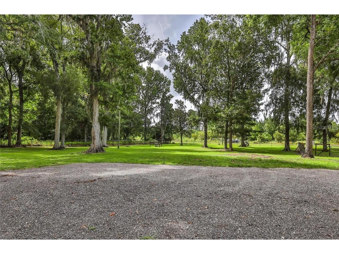 19123 Yontz Road Brooksville FL 34601 TB8441708 image21