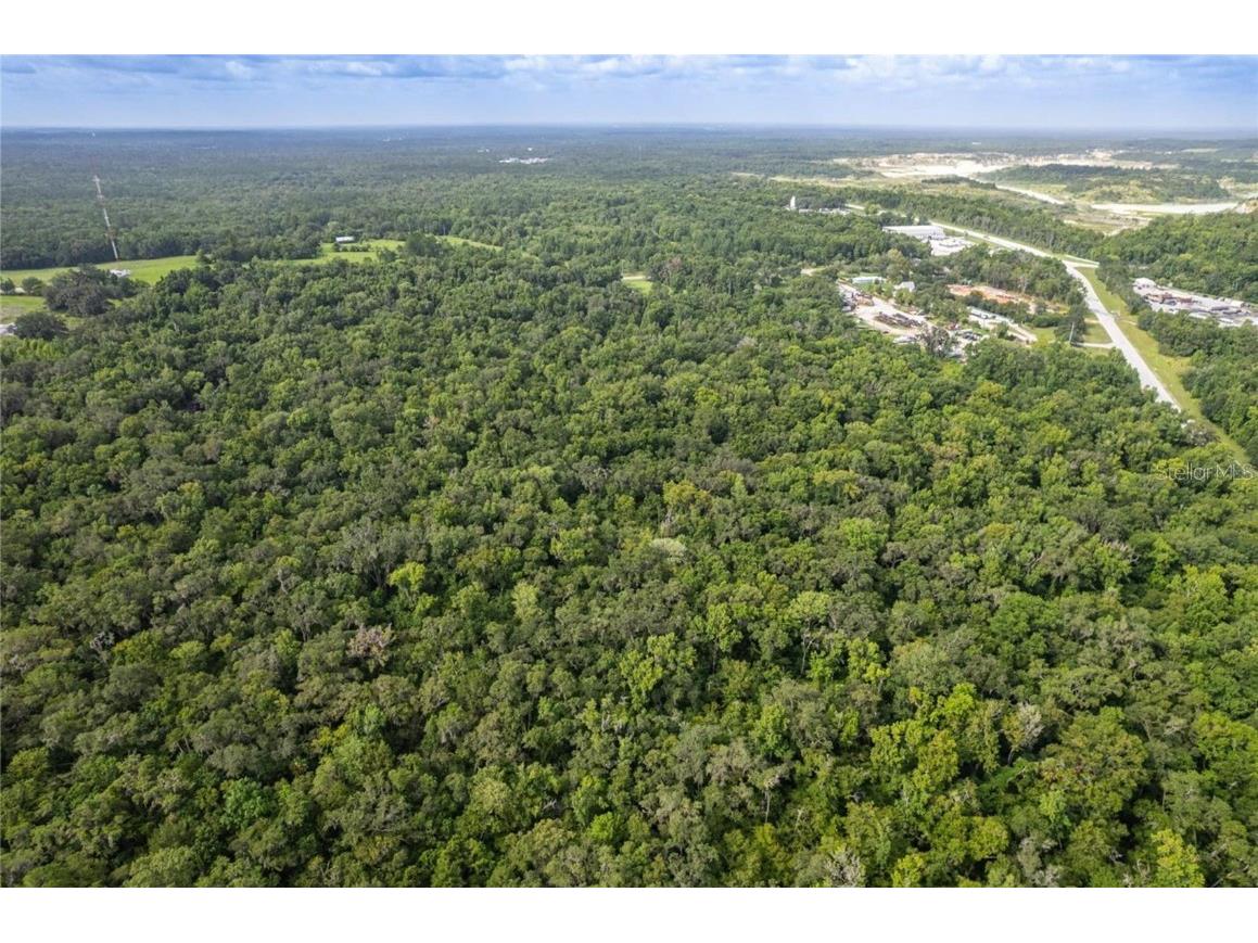 19123 Yontz Road Brooksville FL 34601 TB8441708 image28