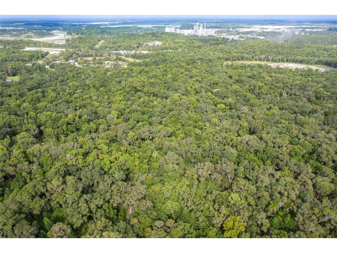 19123 Yontz Road Brooksville FL 34601 TB8441708 image29