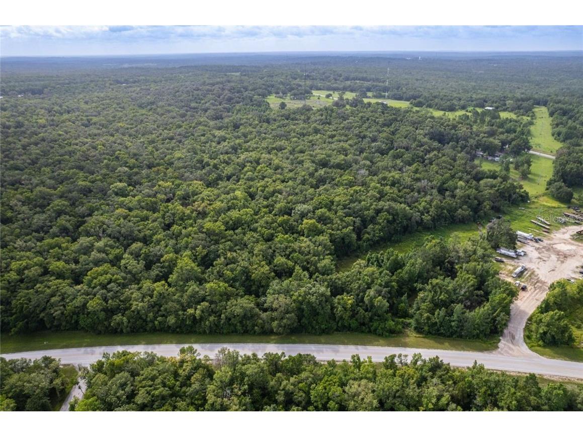 19123 Yontz Road Brooksville FL 34601 TB8441708 image54