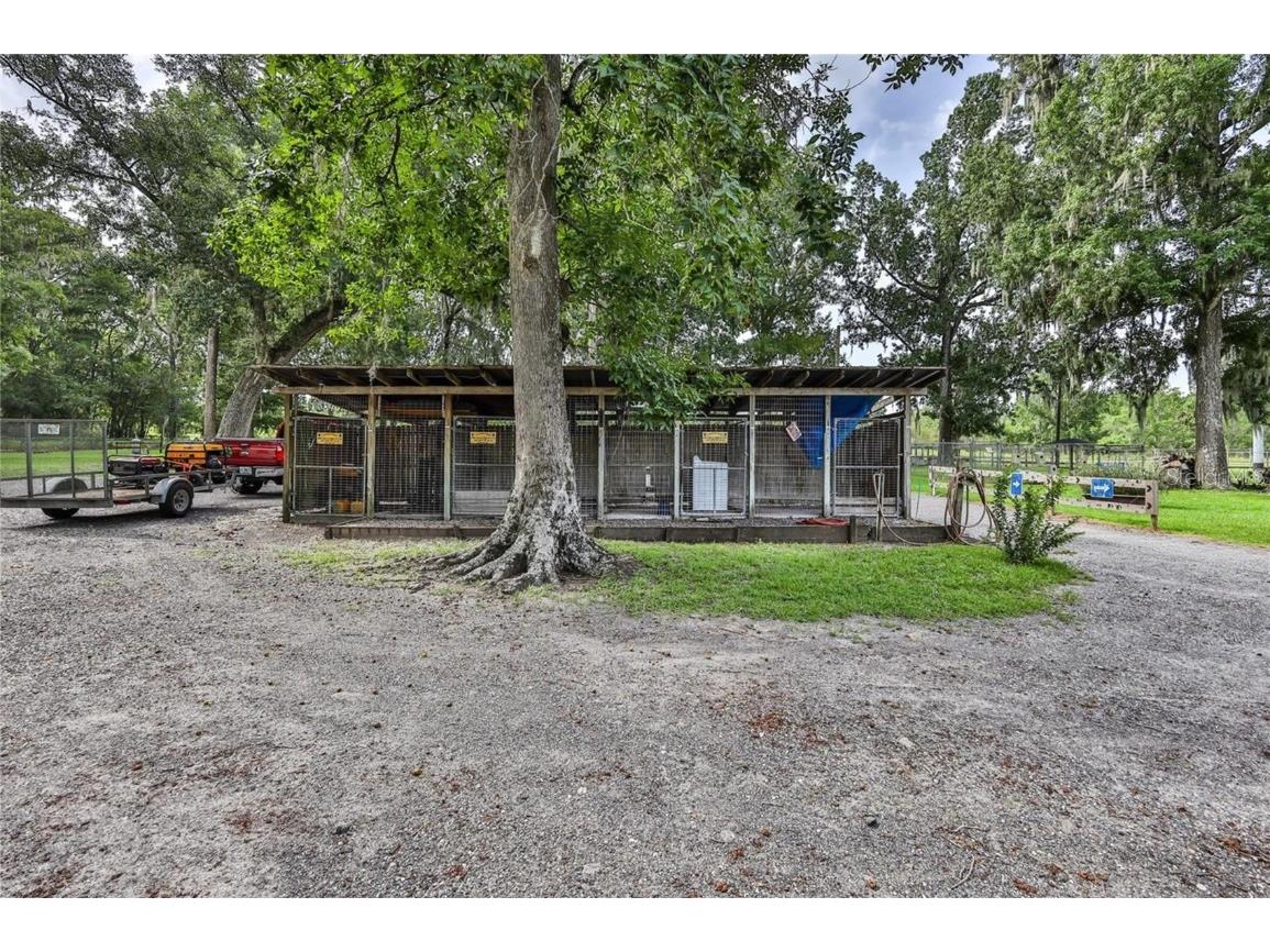 19123 Yontz Road Brooksville FL 34601 TB8441708 image8