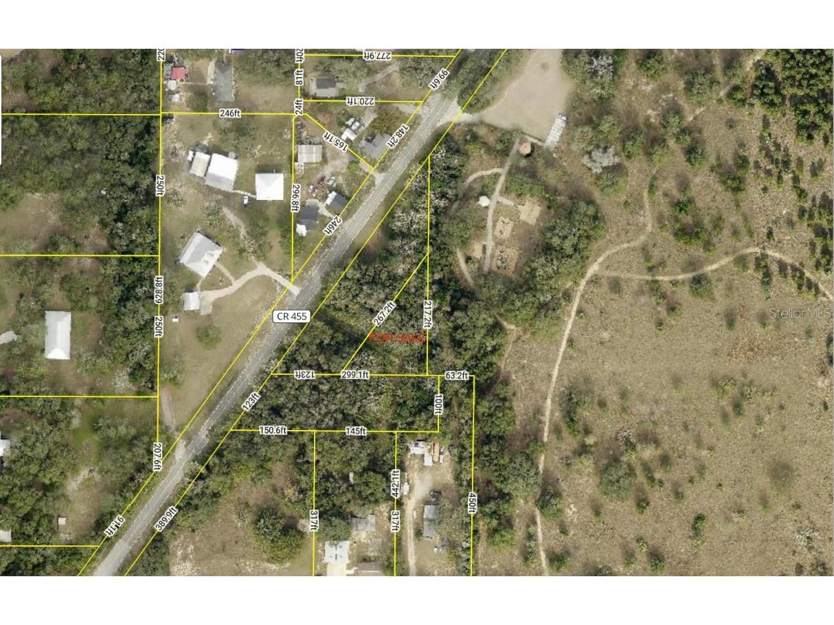 19124 County Road 455 Clermont FL 34715 G5098814 image1