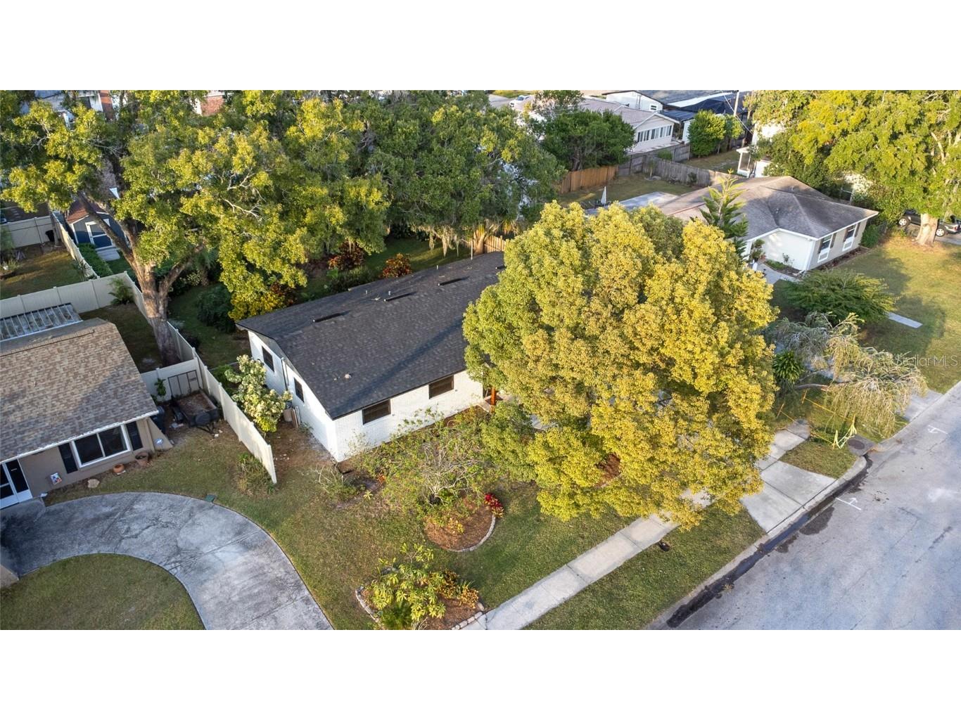 19125 Amelia Circle Lutz FL 33558 TB8445531 image28