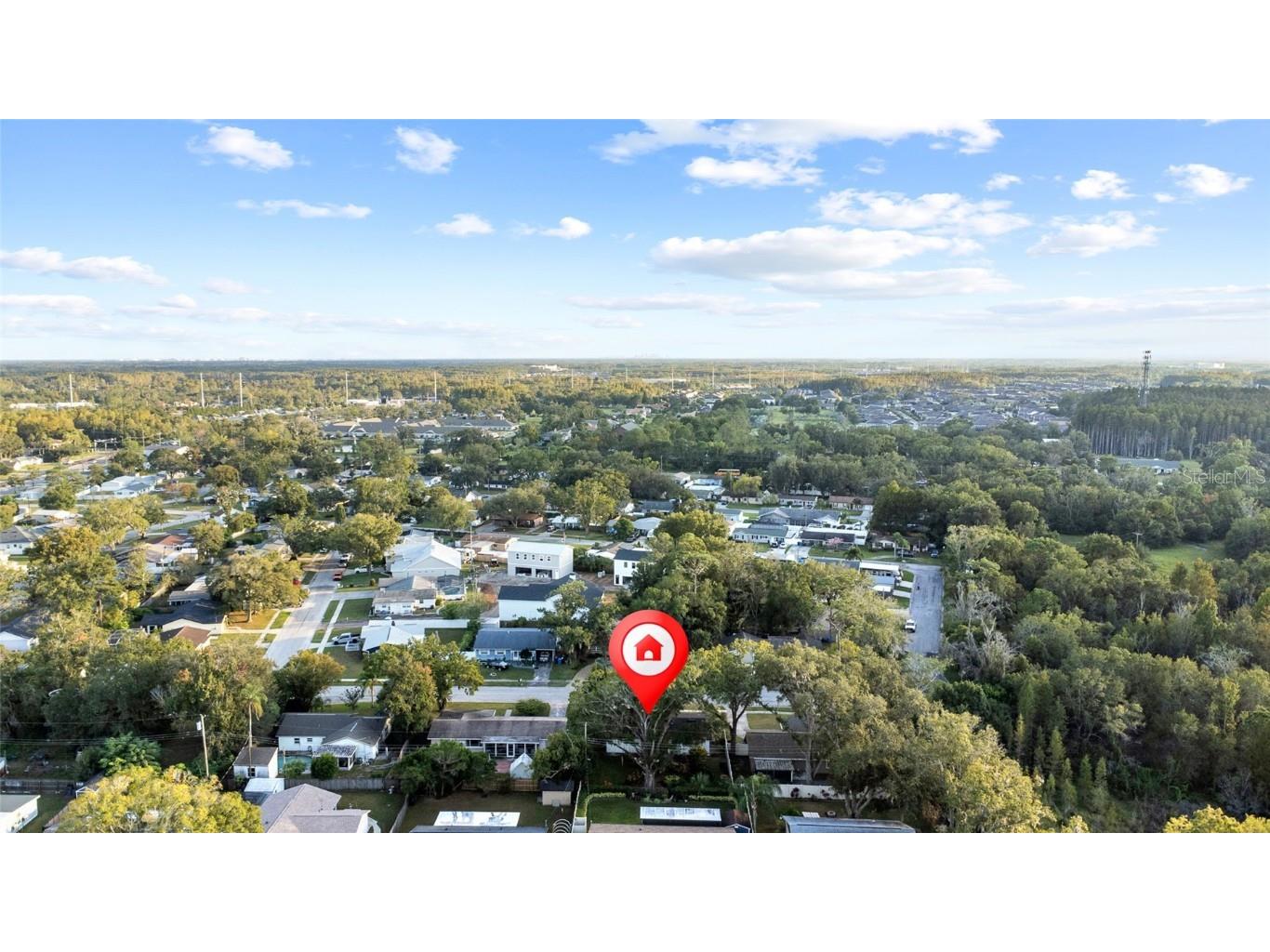 19125 Amelia Circle Lutz FL 33558 TB8445531 image31