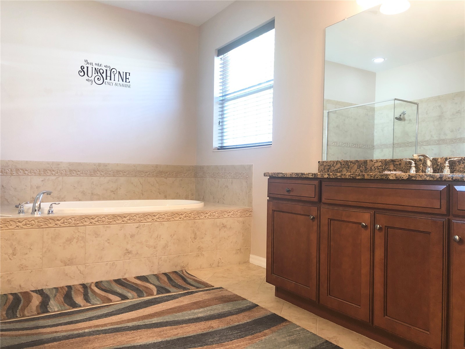19125 Sweet Clover Lane Tampa FL 33647 TB8497488 image12