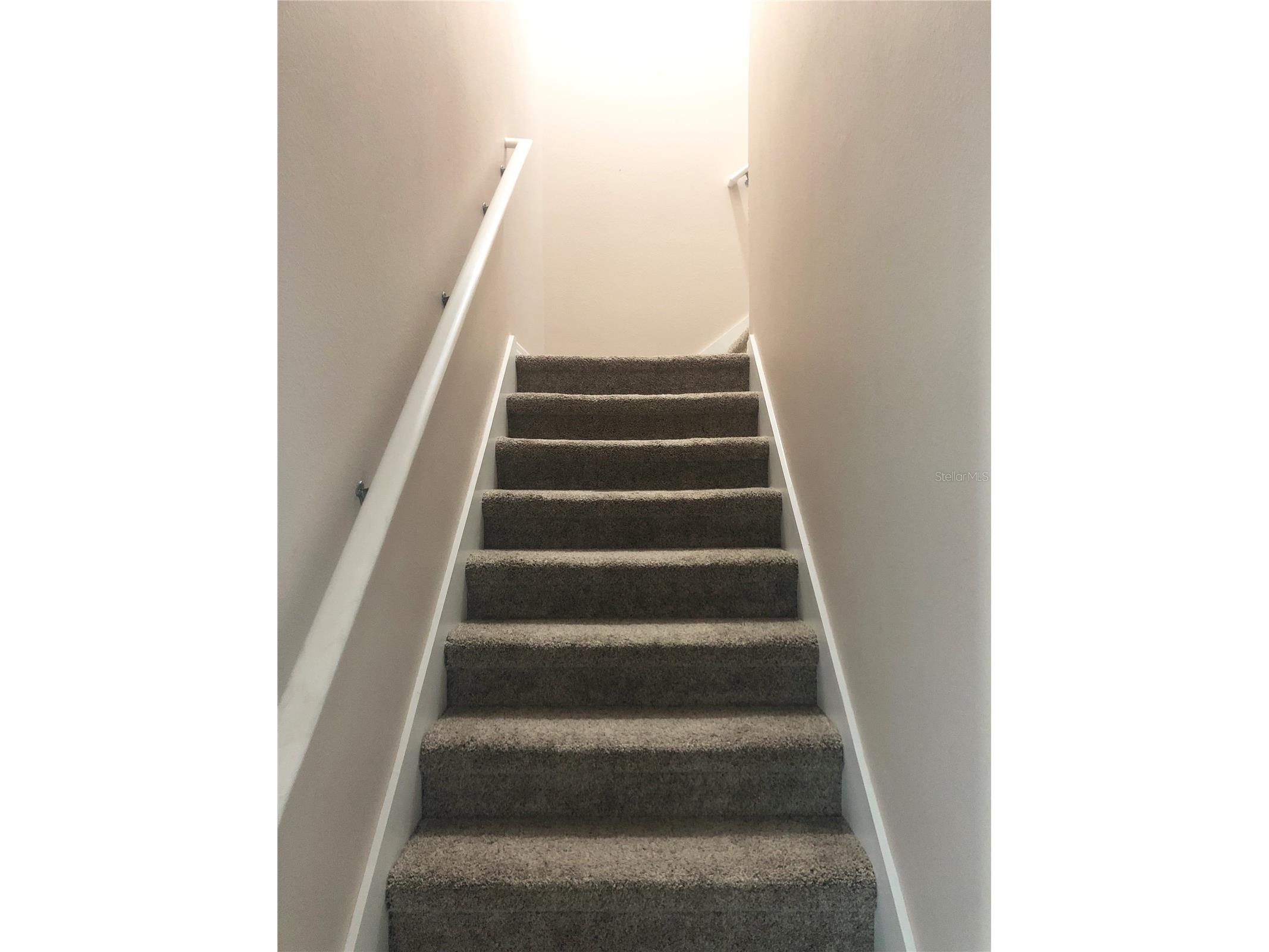 19125 Sweet Clover Lane Tampa FL 33647 TB8497488 image18