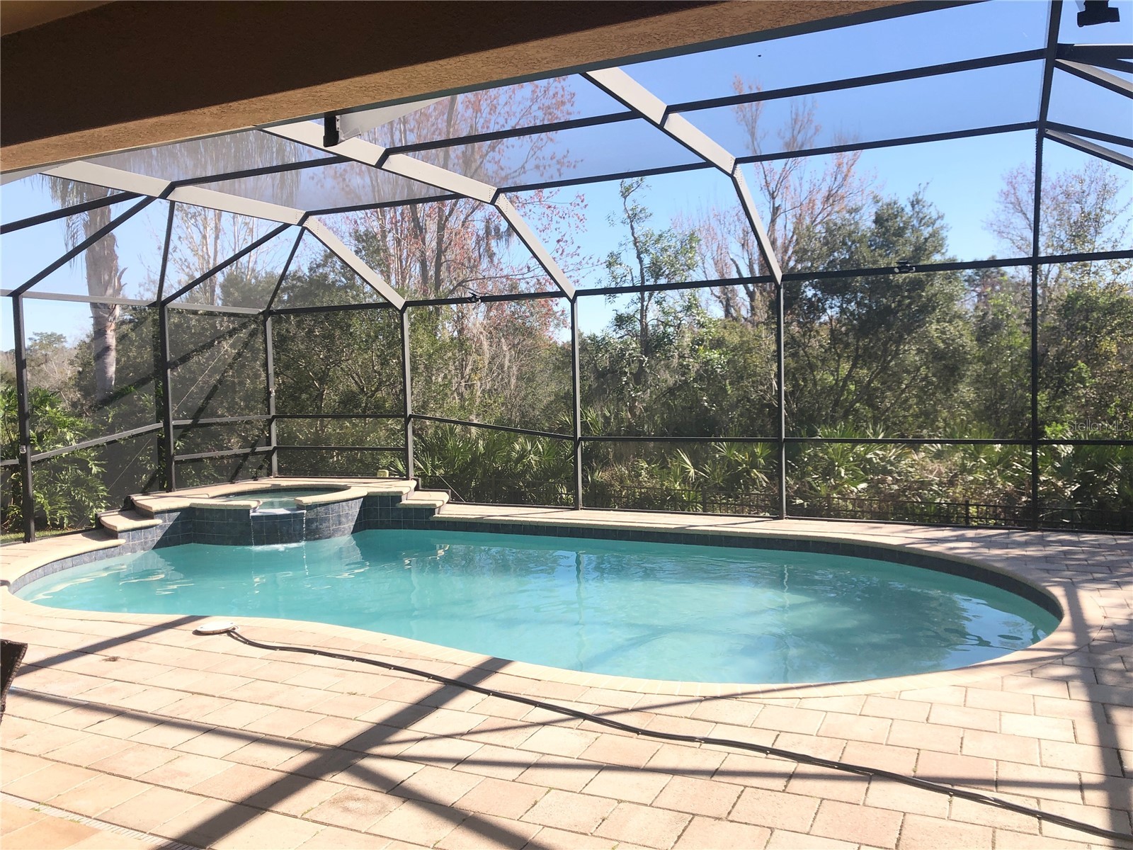 19125 Sweet Clover Lane Tampa FL 33647 TB8497488 image24