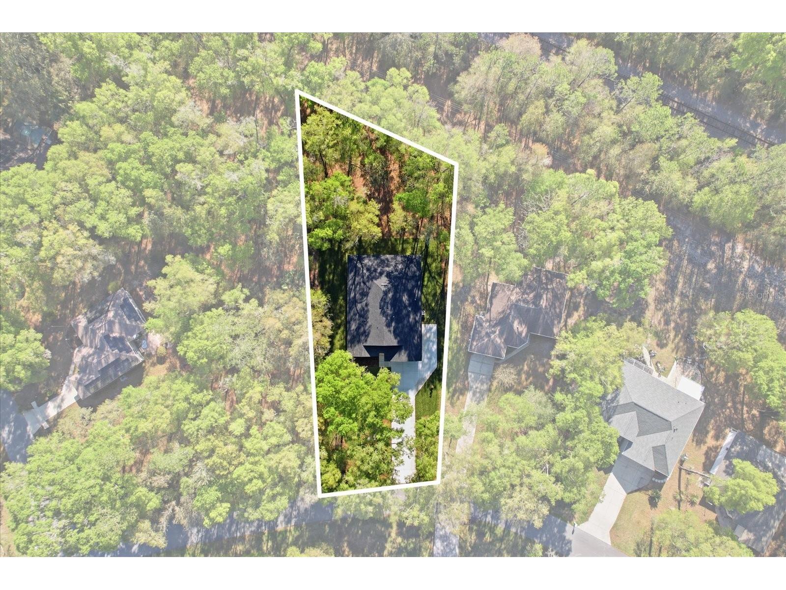 19126 SW 101st Street Dunnellon FL 34432 - RAINBOW RIVER NS1087700 image3