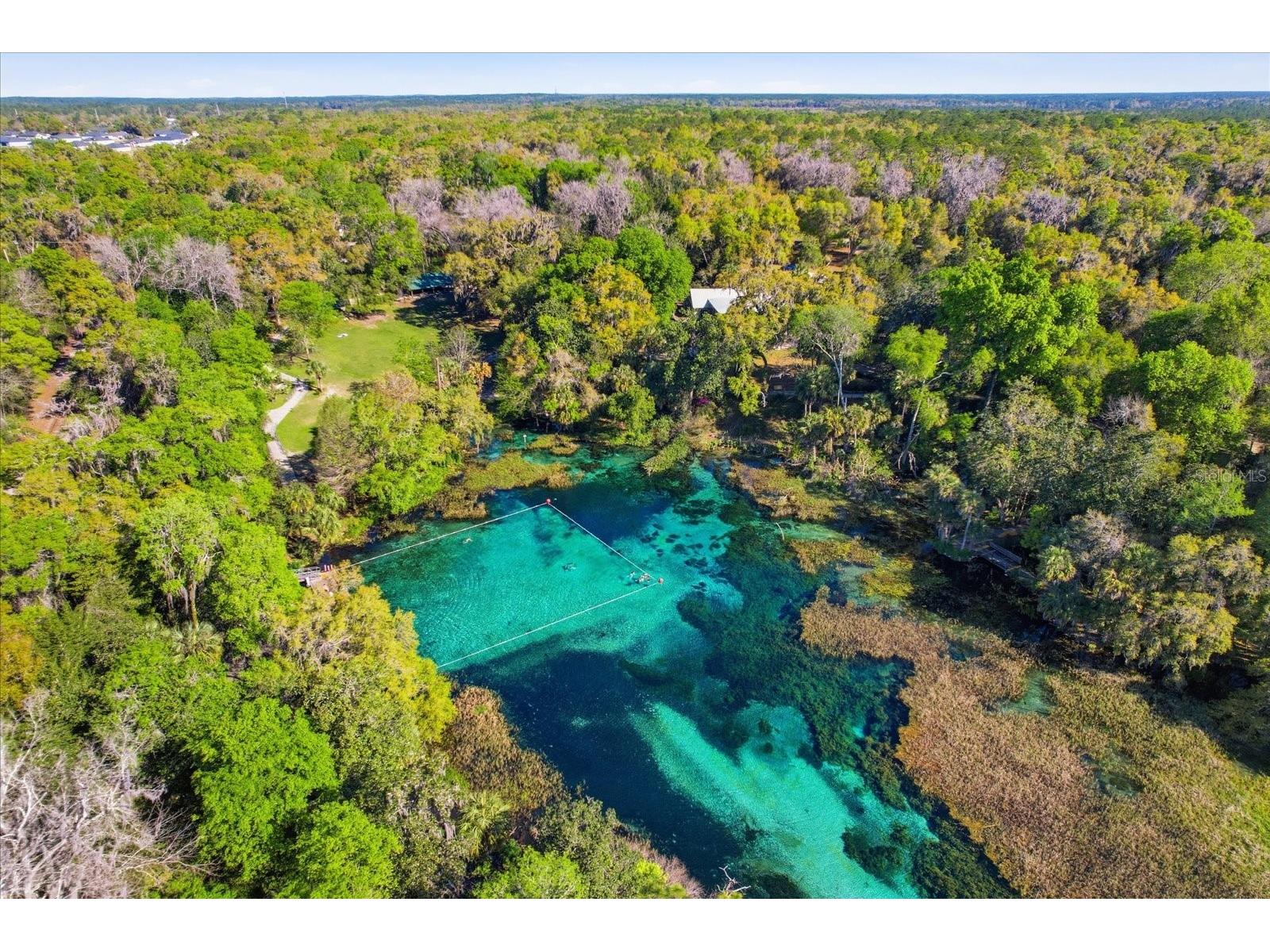 19126 SW 101st Street Dunnellon FL 34432 - RAINBOW RIVER NS1087700 image30