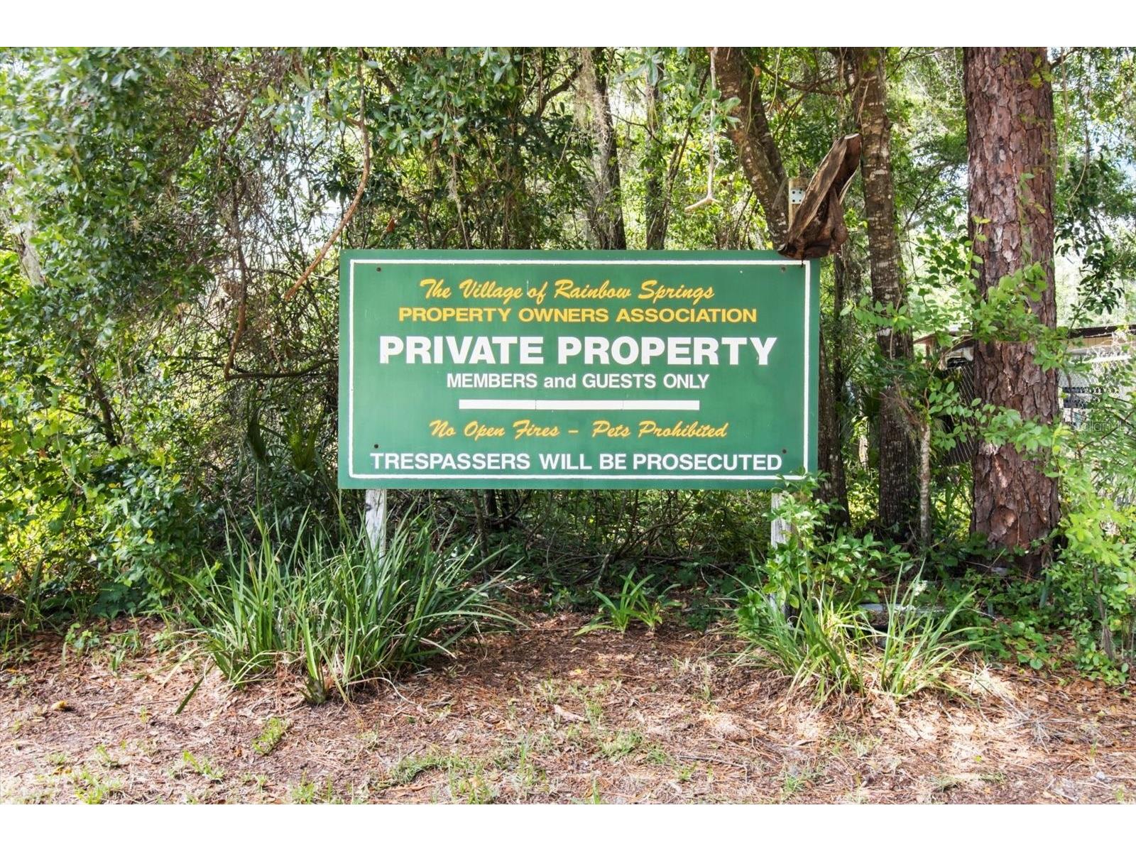 19126 SW 101st Street Dunnellon FL 34432 - RAINBOW RIVER NS1087700 image32