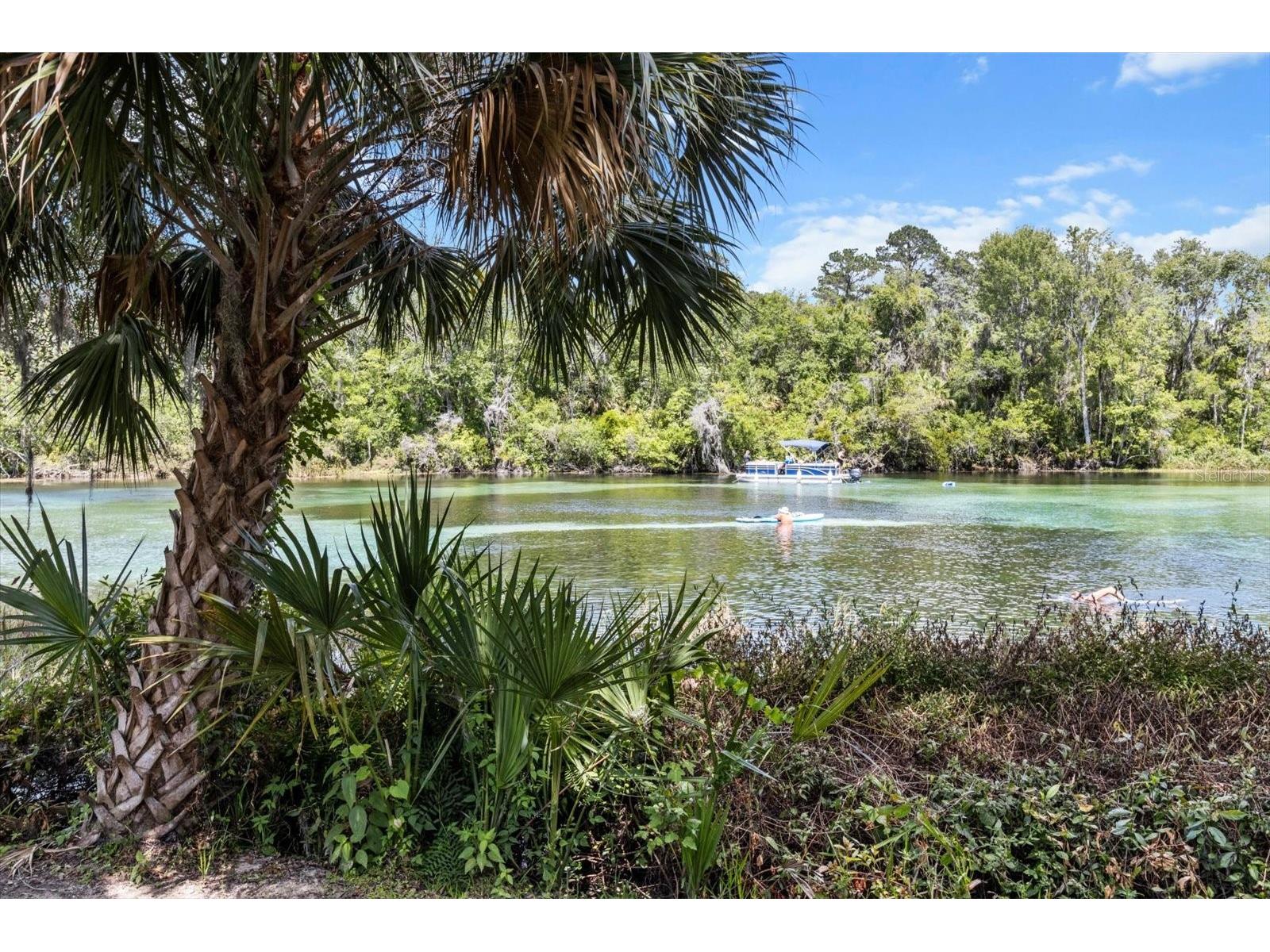 19126 SW 101st Street Dunnellon FL 34432 - RAINBOW RIVER NS1087700 image38