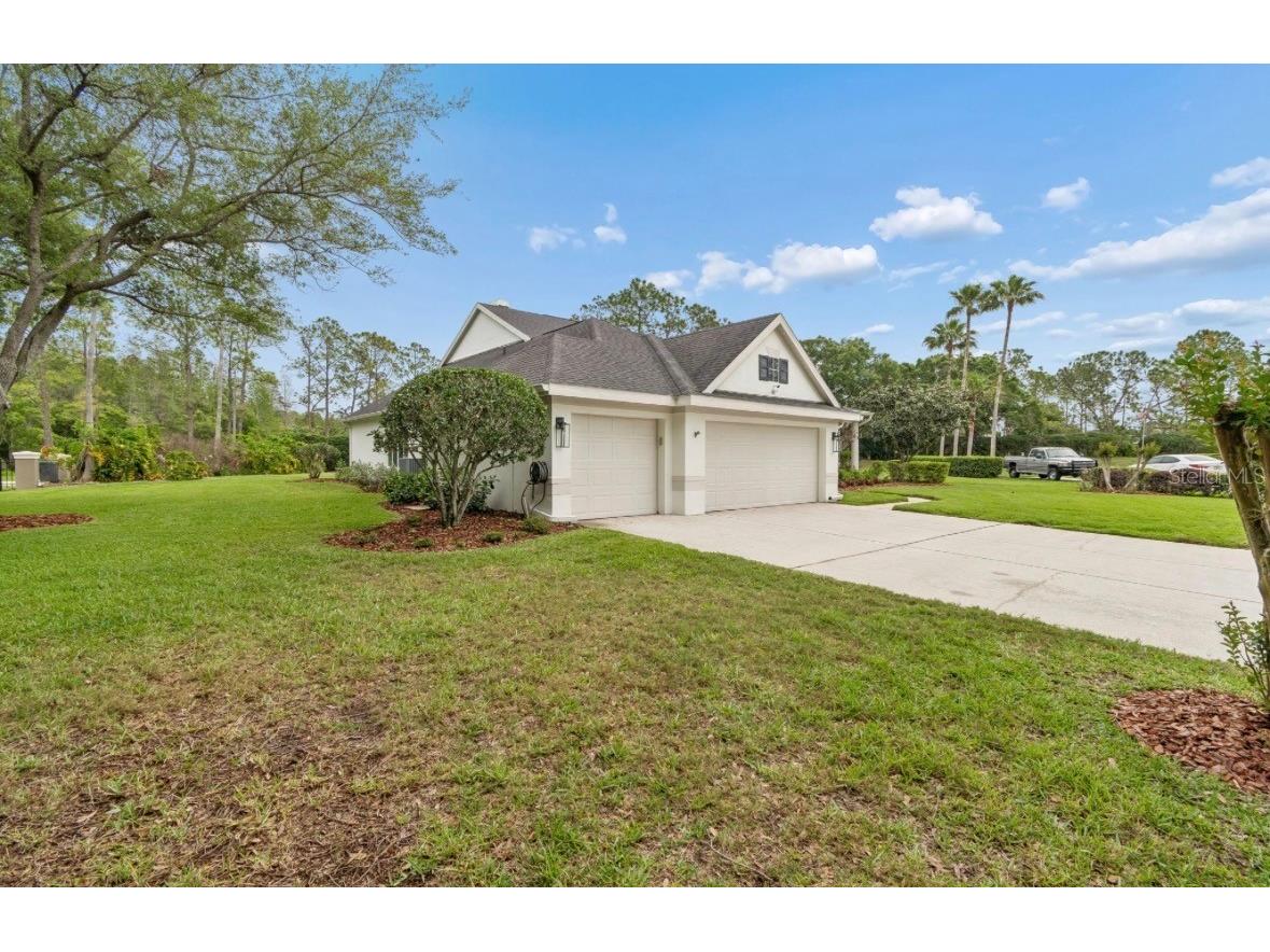 19127 Centre Rose Boulevard Lutz FL 33558 TB8494143 image59