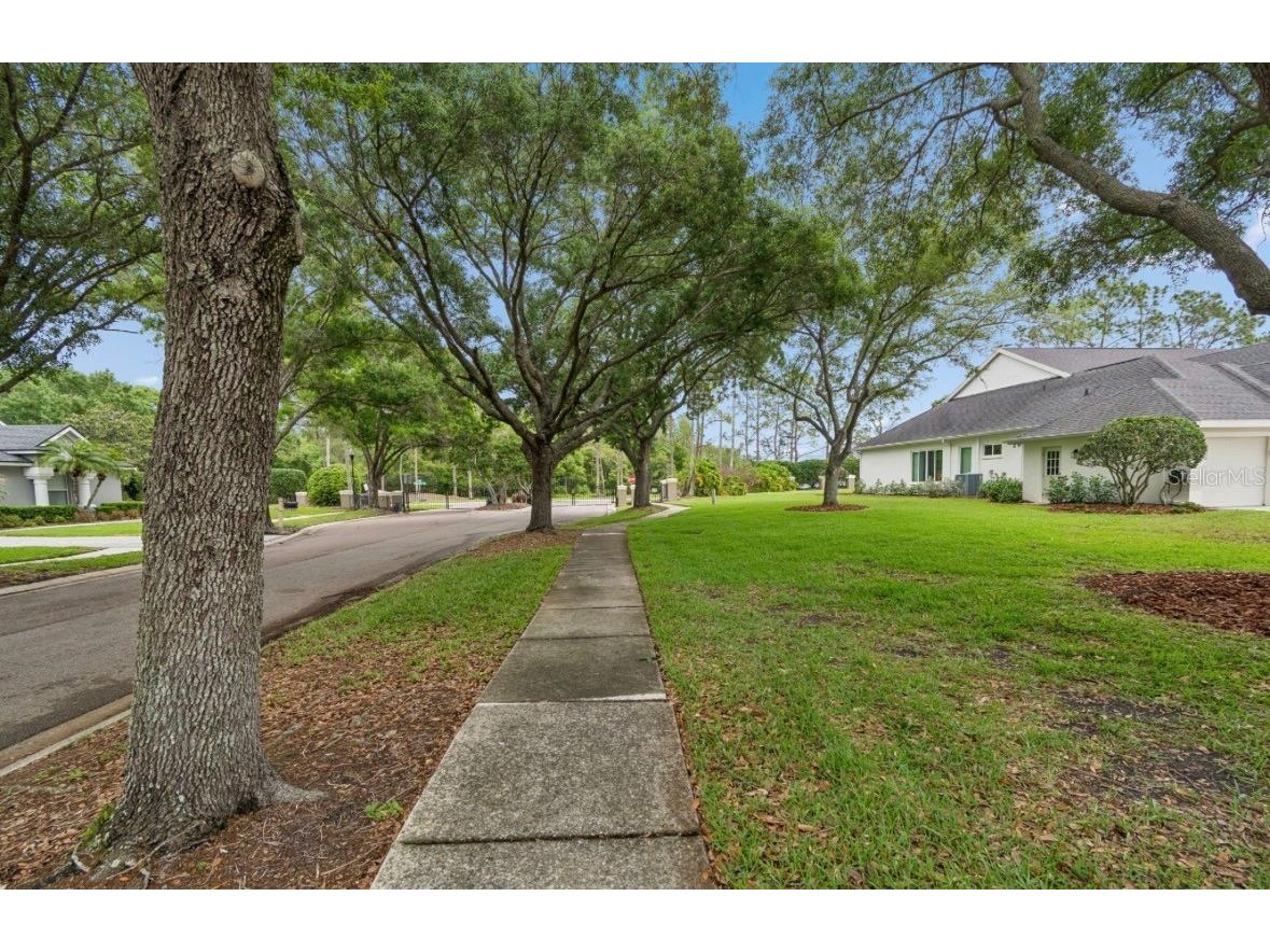19127 Centre Rose Boulevard Lutz FL 33558 TB8494143 image60