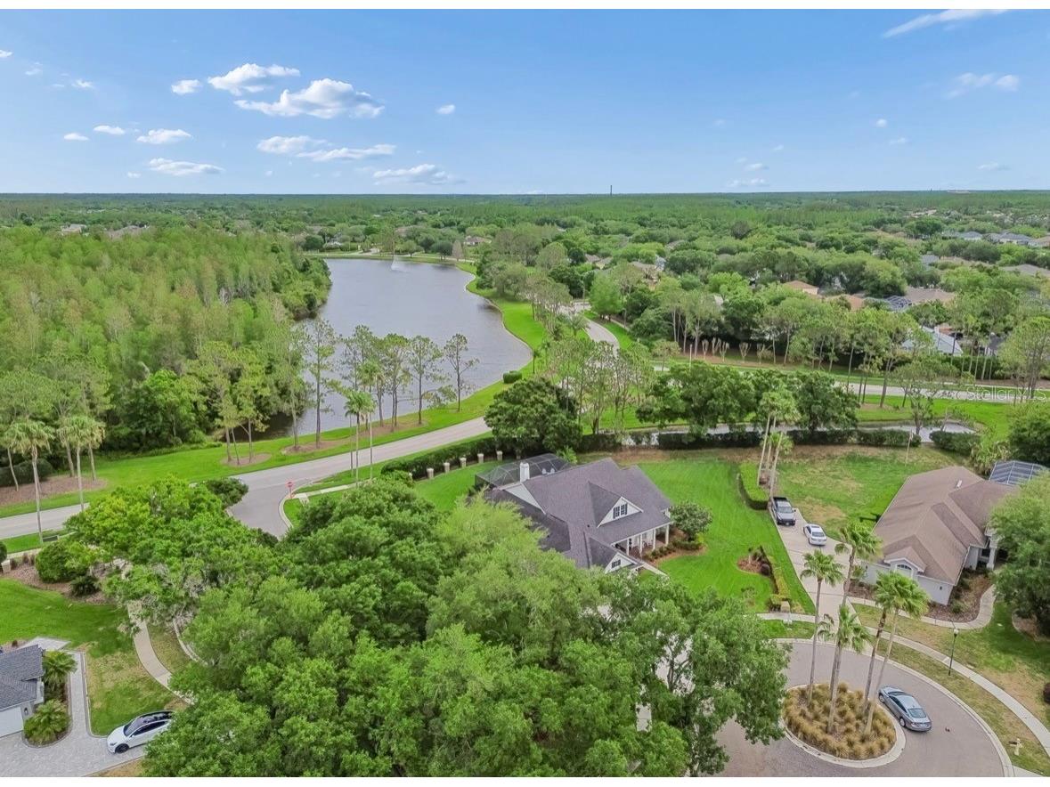 19127 Centre Rose Boulevard Lutz FL 33558 TB8494143 image68