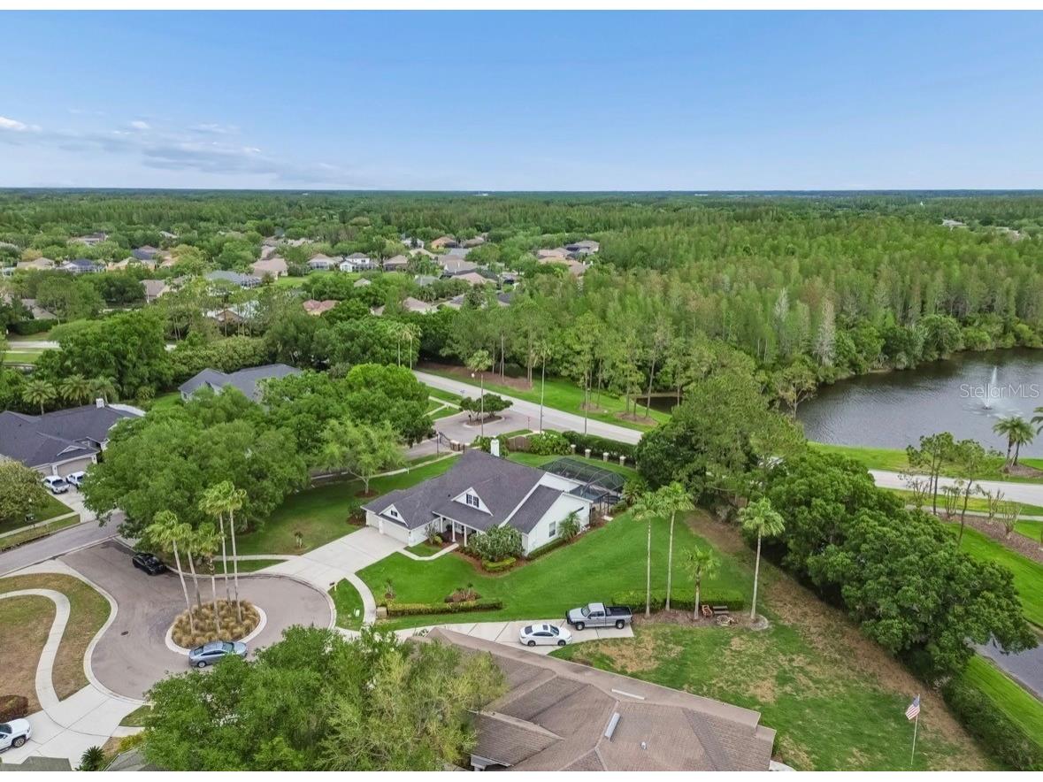 19127 Centre Rose Boulevard Lutz FL 33558 TB8494143 image69