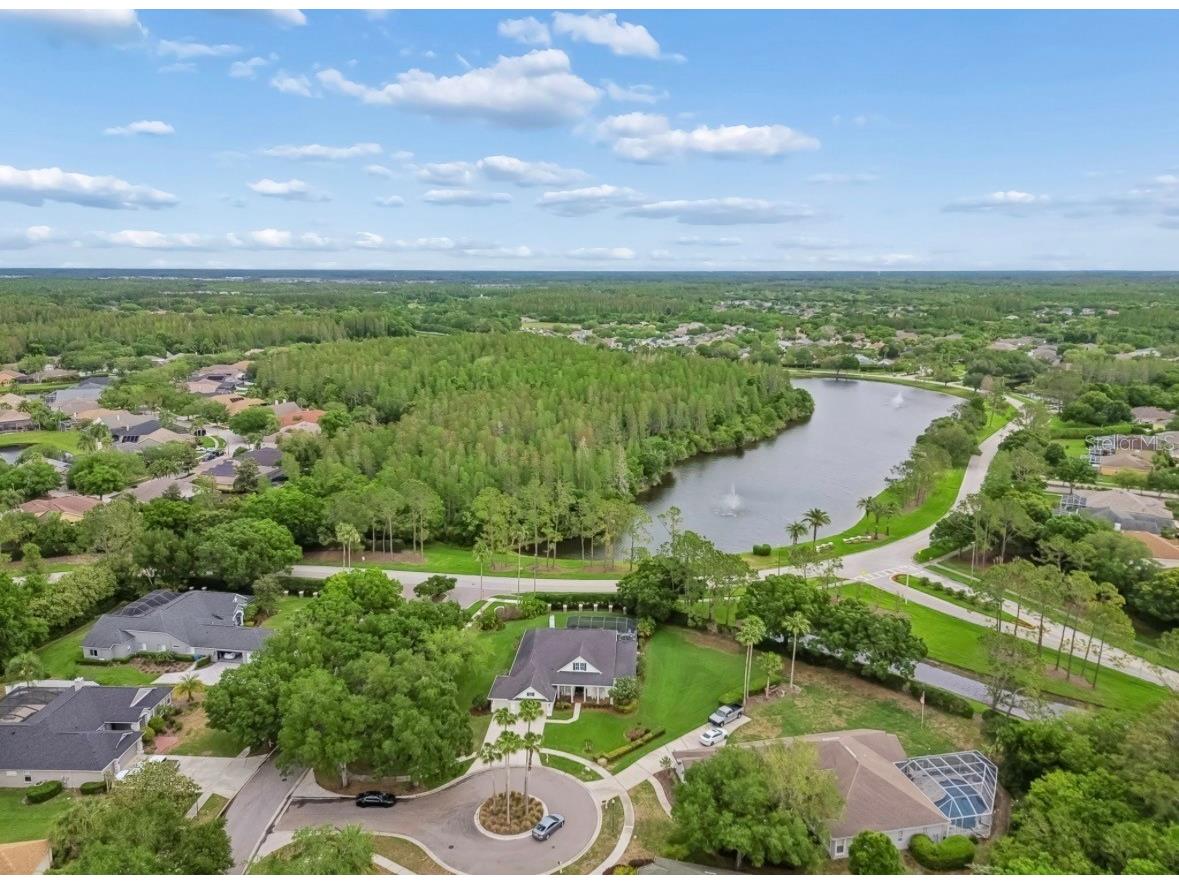 19127 Centre Rose Boulevard Lutz FL 33558 TB8494143 image70