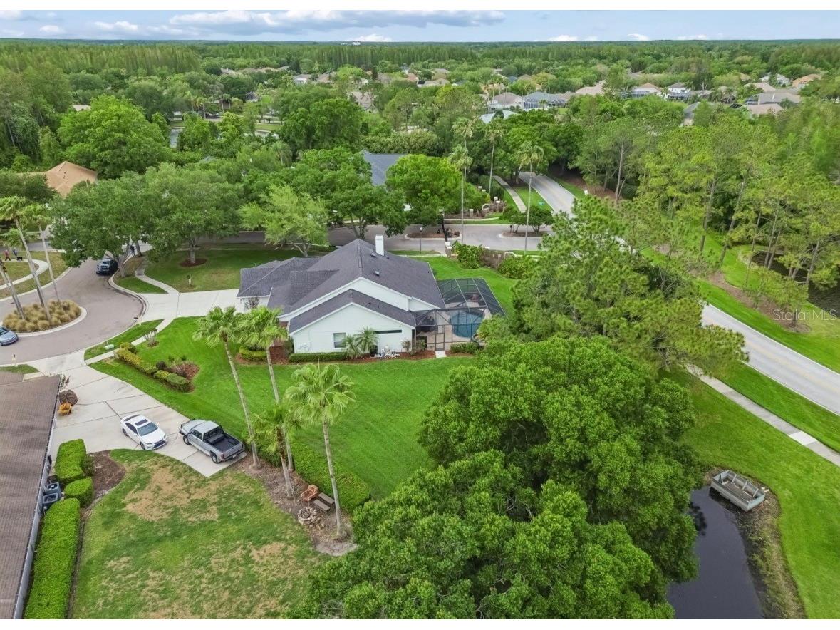 19127 Centre Rose Boulevard Lutz FL 33558 TB8494143 image76