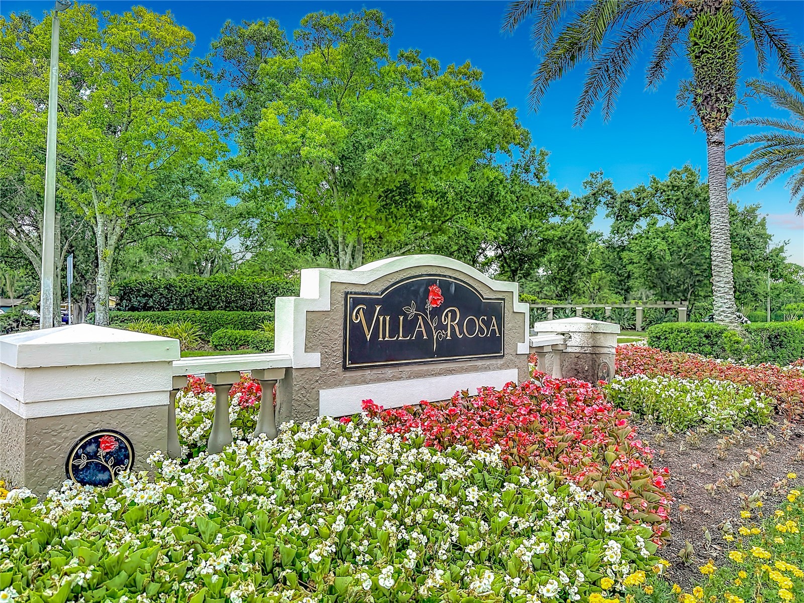 19128 Centre Rose Boulevard Lutz FL 33558 TB8507967 image14