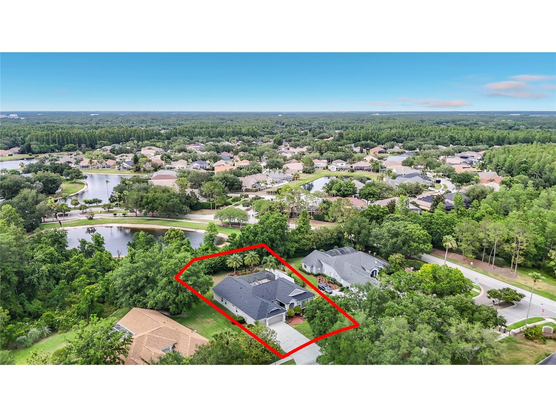 19128 Centre Rose Boulevard Lutz FL 33558 TB8507967 image2