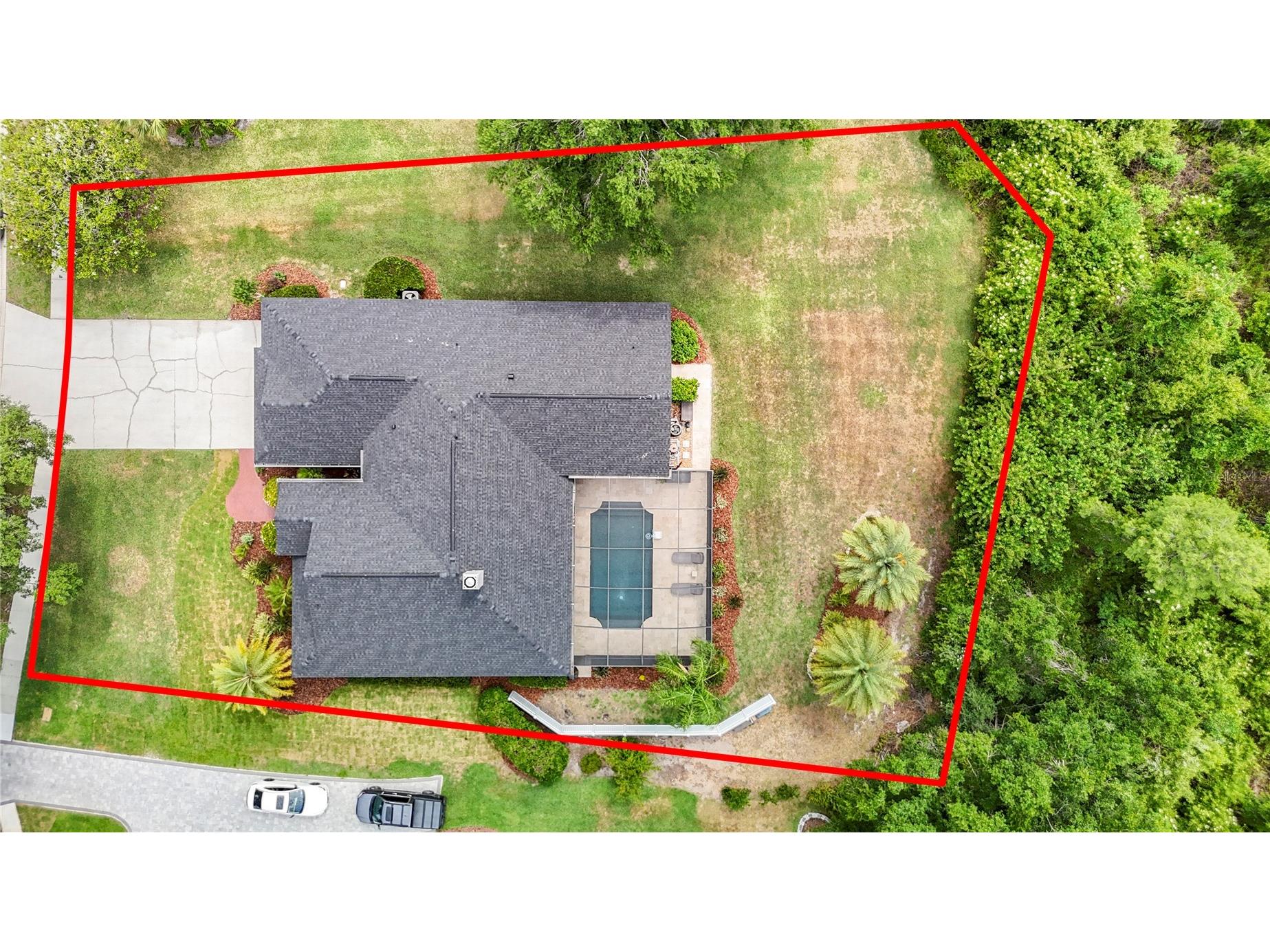19128 Centre Rose Boulevard Lutz FL 33558 TB8507967 image3