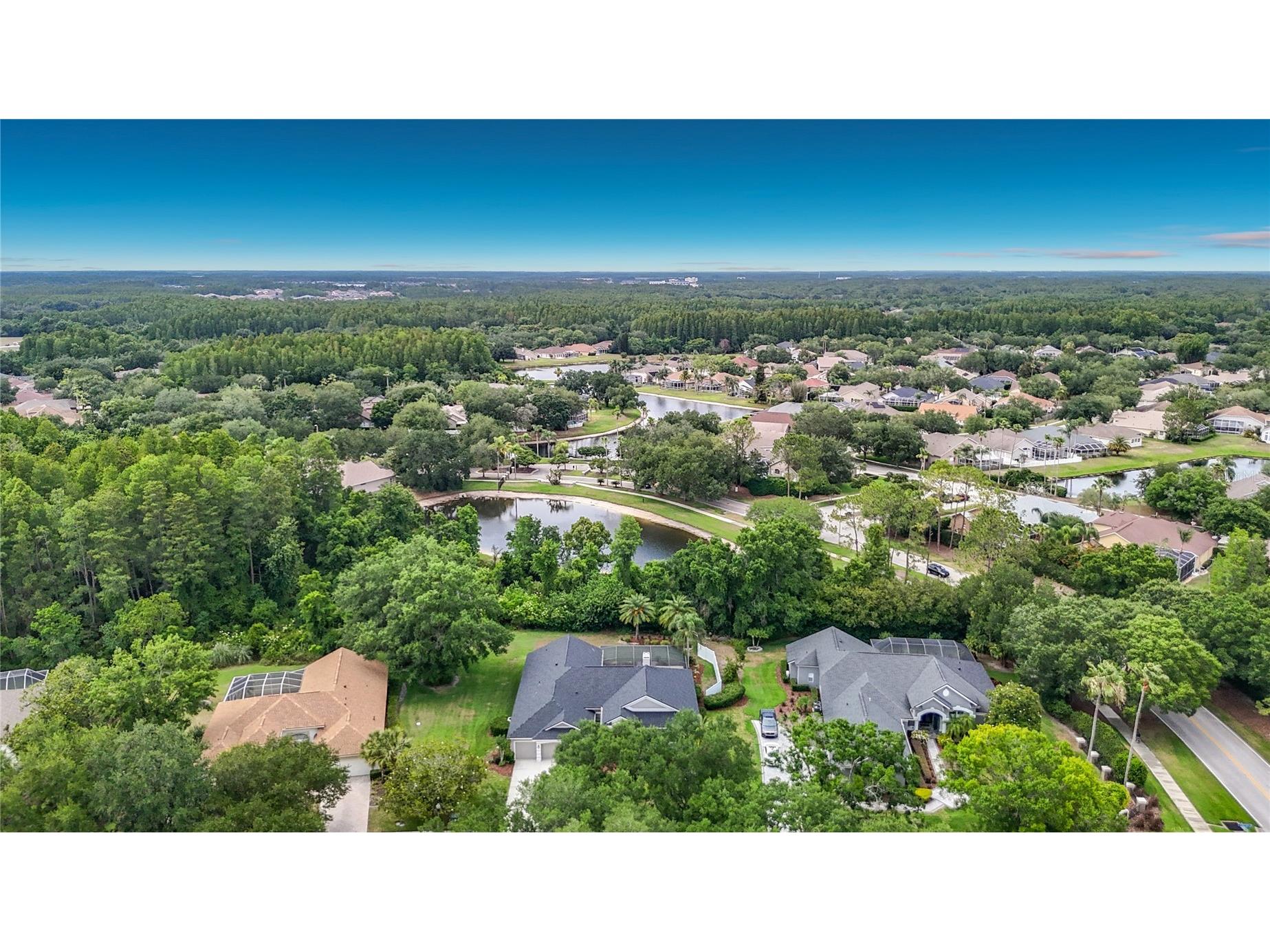 19128 Centre Rose Boulevard Lutz FL 33558 TB8507967 image5