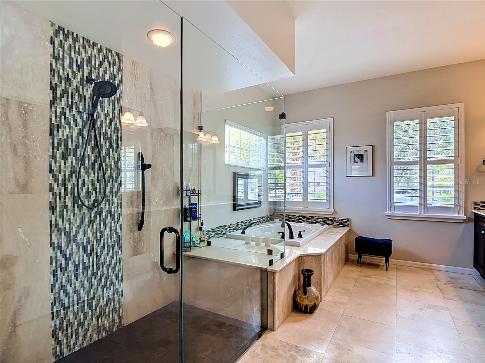 19128 Centre Rose Boulevard Lutz FL 33558 TB8507967 image50