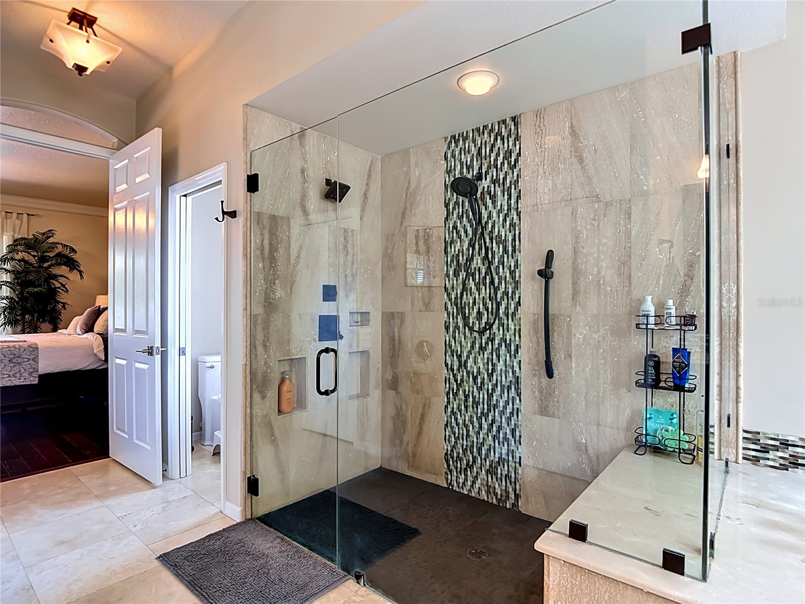 19128 Centre Rose Boulevard Lutz FL 33558 TB8507967 image55