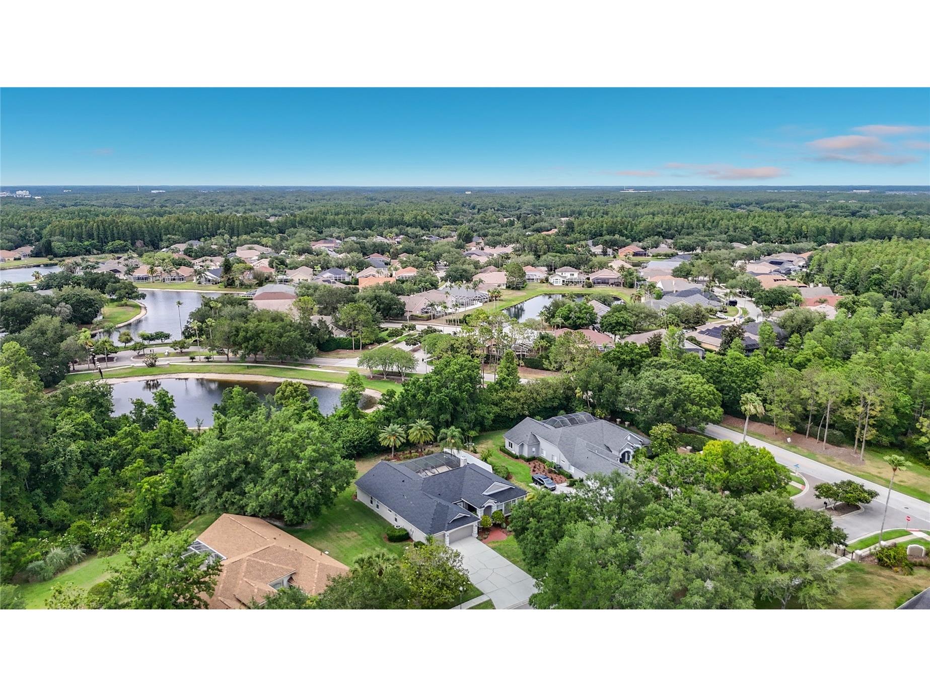 19128 Centre Rose Boulevard Lutz FL 33558 TB8507967 image6