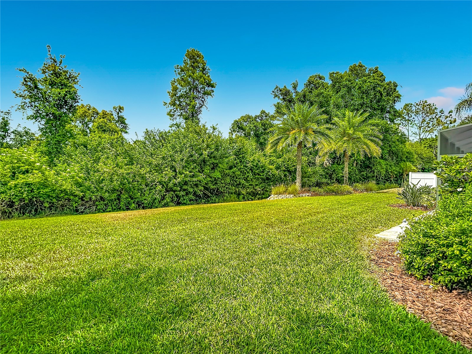 19128 Centre Rose Boulevard Lutz FL 33558 TB8507967 image88