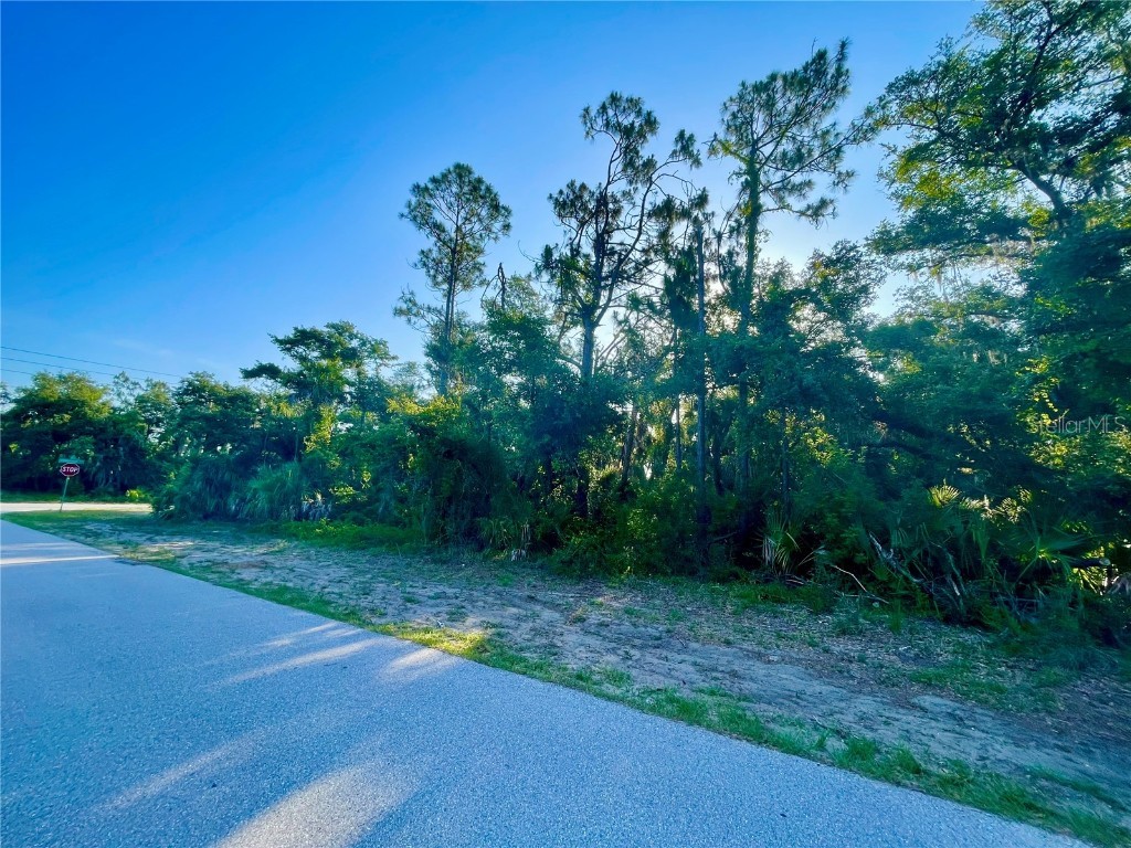 19129 Hillsborough Boulevard Port Charlotte FL 33954 A4668316 image6