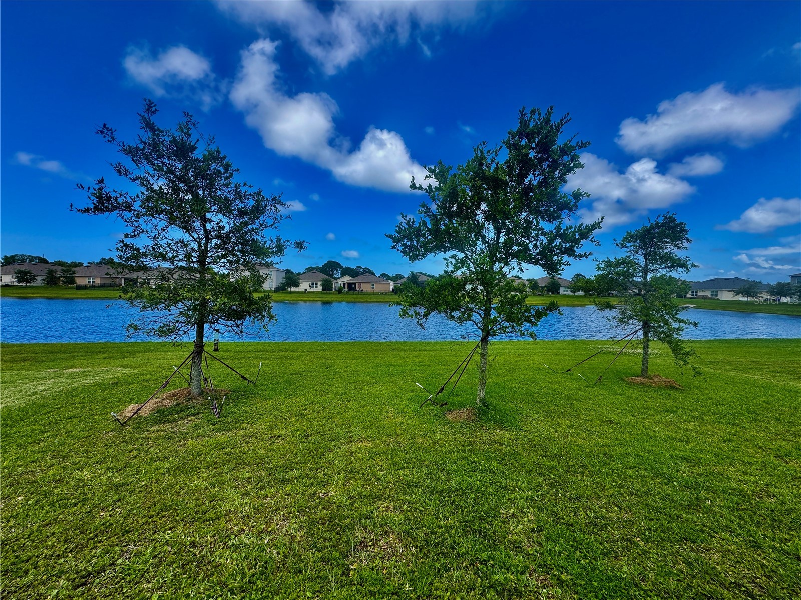1913 Glenbrooke Road Edgewater FL 32141 O6410240 image5